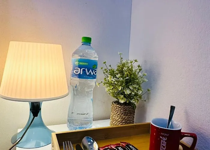 Dsv Property